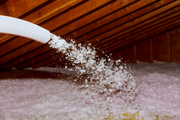 Best Insulation Maintenance and Repair in Metter, GA